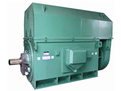 通州Y系列6KV高压电机